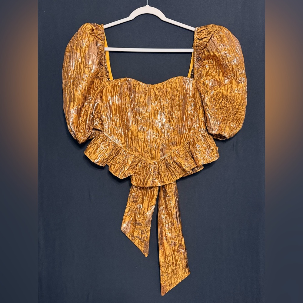 Buddy Love Metallic Gold Puff Sleeve Blouse Open back Castle Core Cos Play D& D